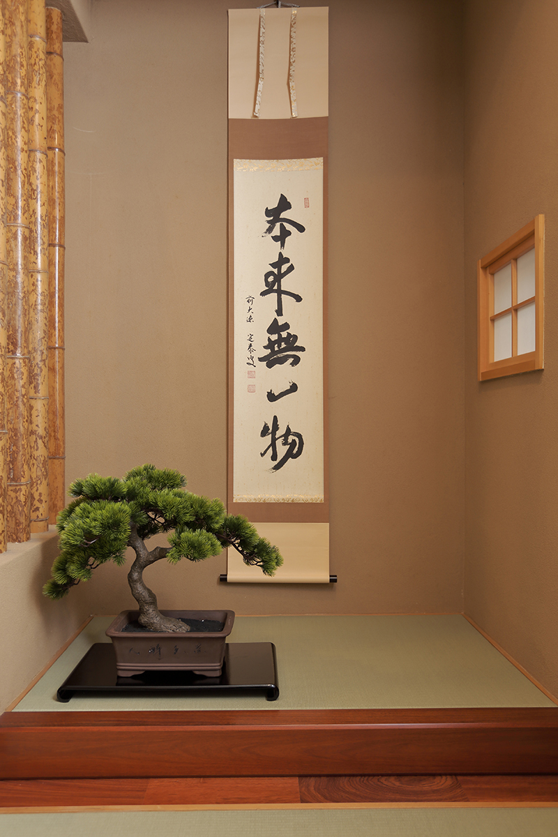 和の雰囲気を最大限に醸し出す 世界中が欲したメンテナンスフリーなアーティフィシャル盆栽 A Bonsai のmakuakeプロジェクトが始動 盆栽 なび