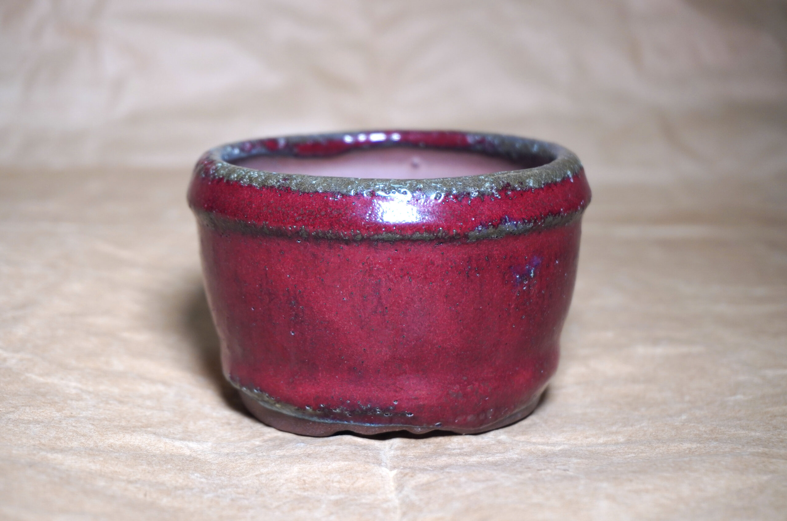 DSC02074-福寿草の鉢1